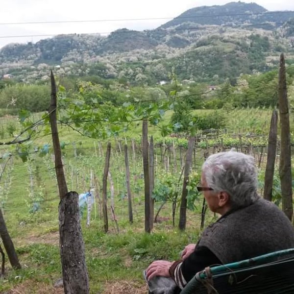 Baghdati Estates - Malkhaz and Vakhtang Mshvildadze