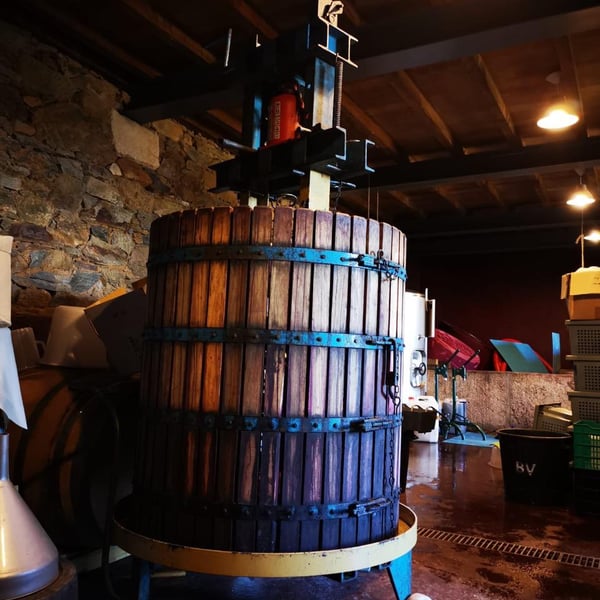 Vinhos artesanais Protótipo - Manuel Valente
