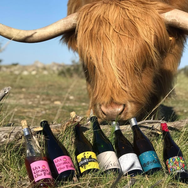 Domaine Mamaruta - Marc Castan