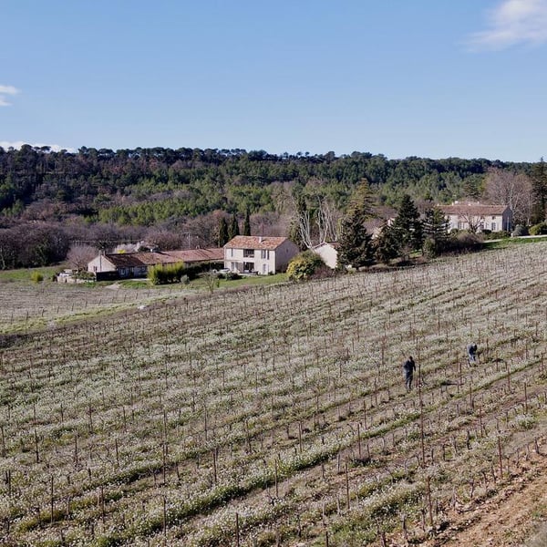 Domaine de Ribières / ColVert - Marc Kemlin
