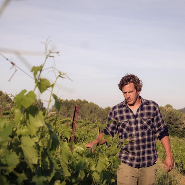 Domaine de Ribières / ColVert - Marc Kemlin