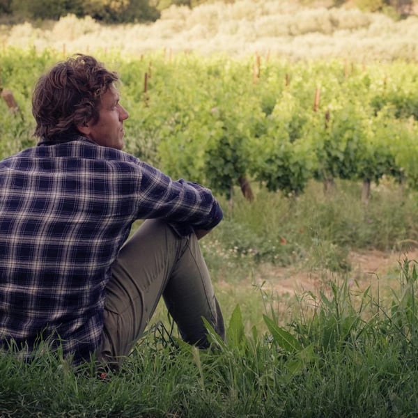 Domaine de Ribières / ColVert - Marc Kemlin