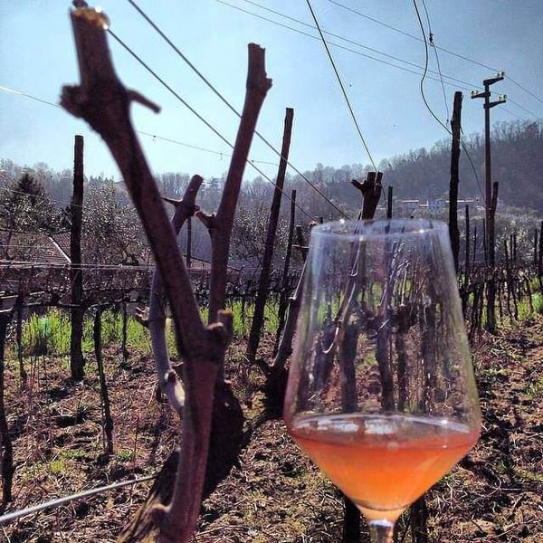 Azienda Agricola Farnea - Marco Buratti