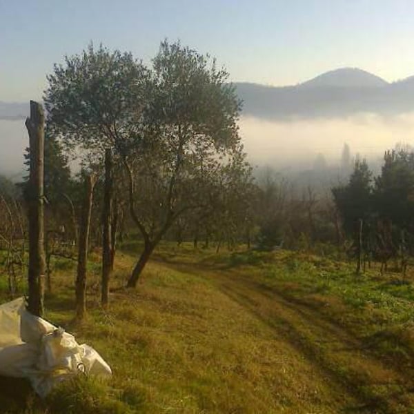 Azienda Agricola Farnea - Marco Buratti
