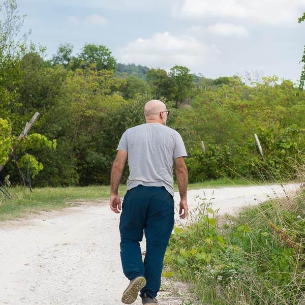 Marco Dani & Gianfranco Mistrorigo