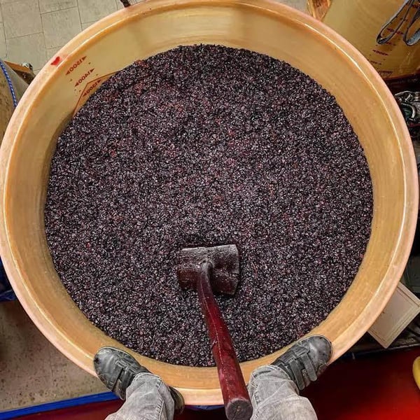 Azienda Agricola Tinessa - Marco Tinessa