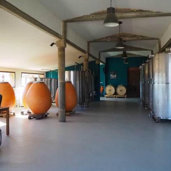 Celler Entre Vinyes - Maria Barrena & Josep Tort Montserrat