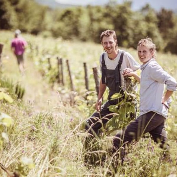 Marie et Florian Curtet Vignerons - Marie & Florian Curtet