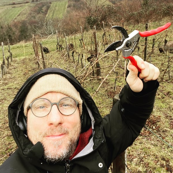 Weingut Marie Adler (ex Collective Z) - Marie, Christoph und Helmut Ziegler