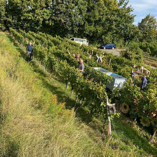 Weingut Marie Adler (ex Collective Z) - Marie, Christoph und Helmut Ziegler