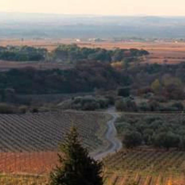 Domaine de La Réserve d'O - Marie & Frédéric Chauffray