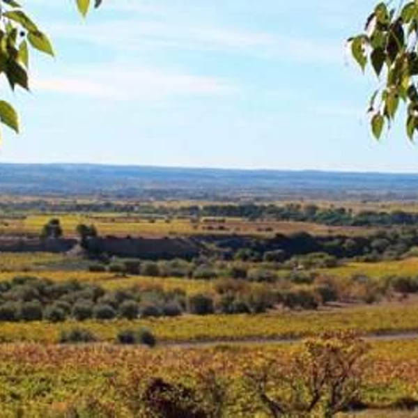 Domaine de La Réserve d'O - Marie & Frédéric Chauffray