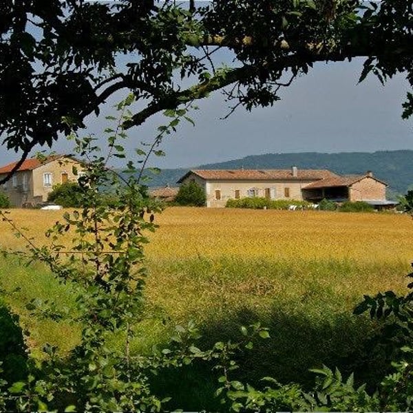 Terres Vivantes - Marie & Ludovic GROS