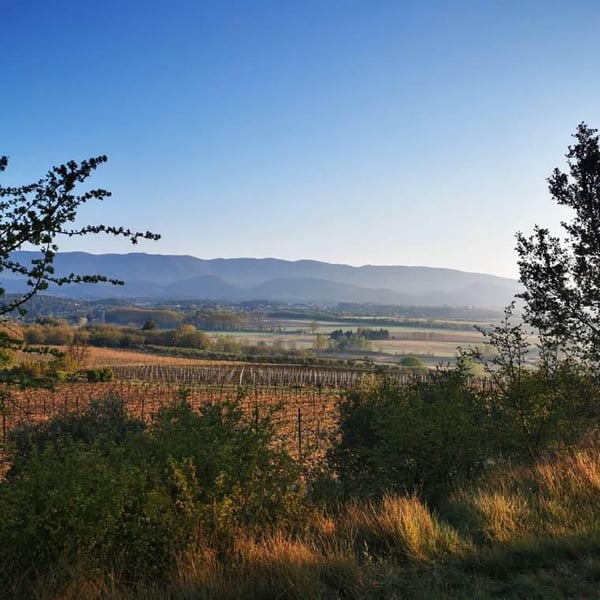 Domaine des Passages - Marie Séité