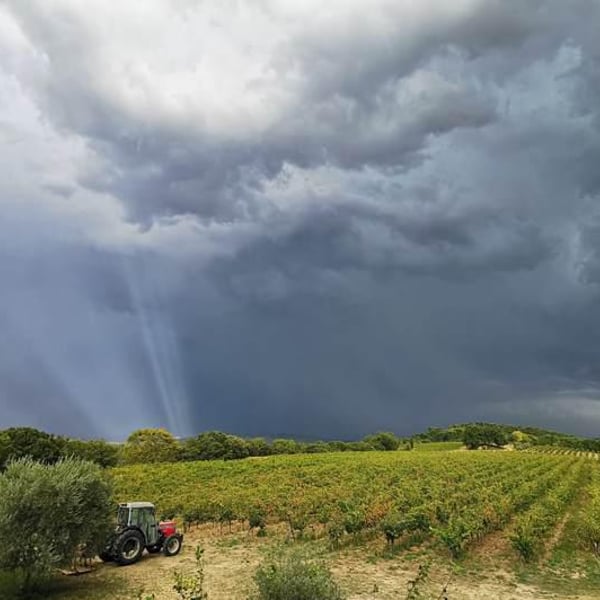 Domaine des Passages - Marie Séité