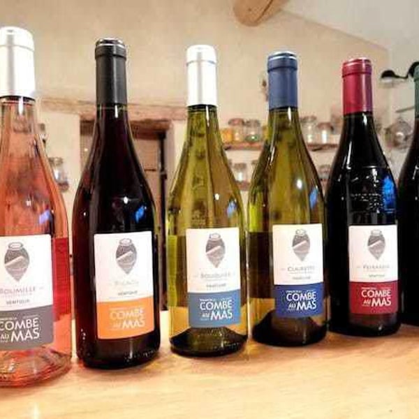 Marie-Sophie Jullien & Thomas Ayoun