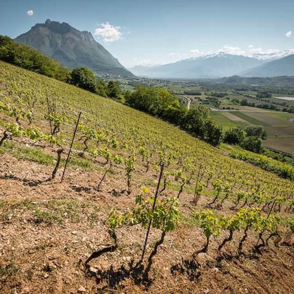 Domaine des Côtes Rousses - Marielle & Nicolas Ferrand