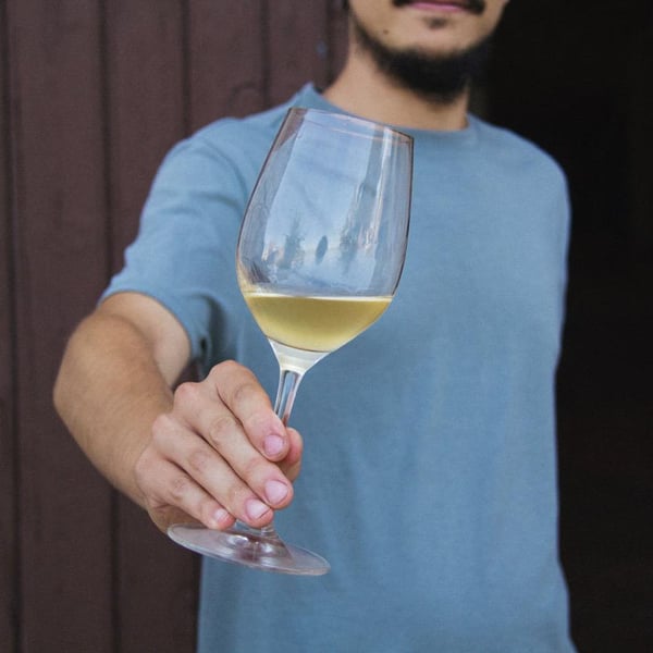 Vins de Quimera - Marina, Oriol i Borja