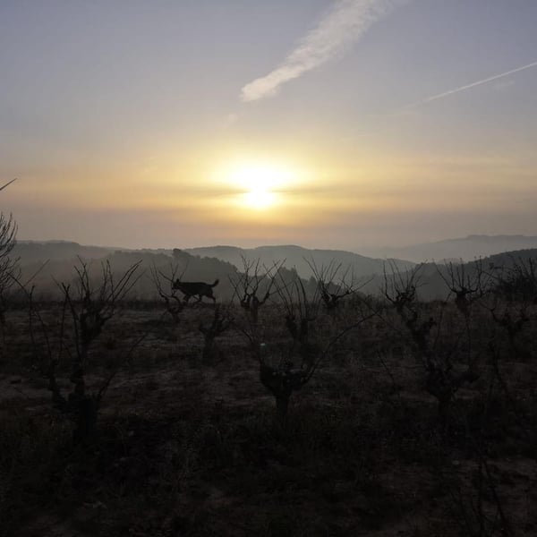 Marina, Oriol i Borja