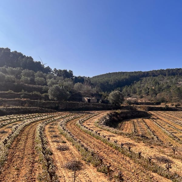 Marina, Oriol i Borja