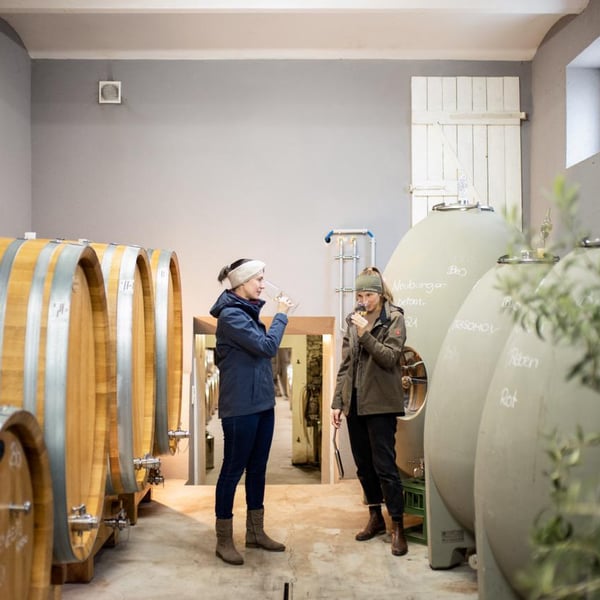 Weingut Markus Altenburger - Markus Altenburger