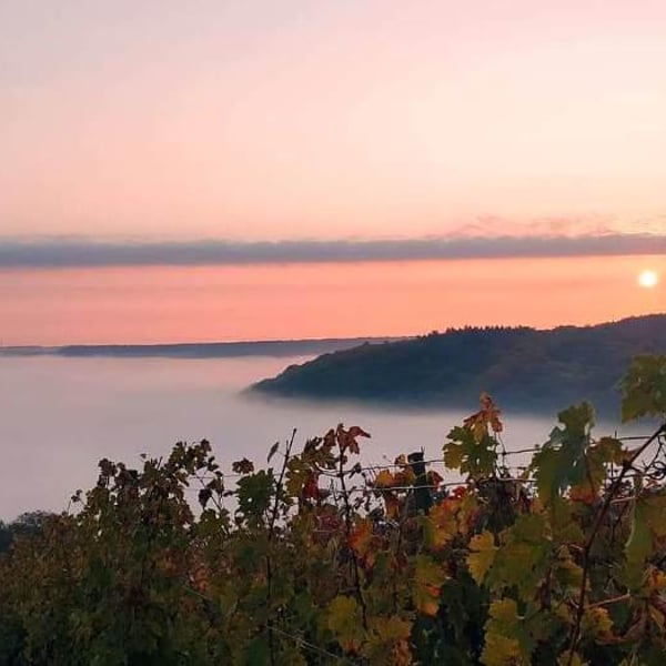 Groszer Wein - Markus Bach & Edgar Brutler