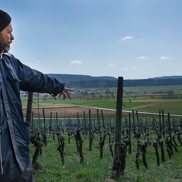 Weinbau Markus Ruch - Markus Ruch