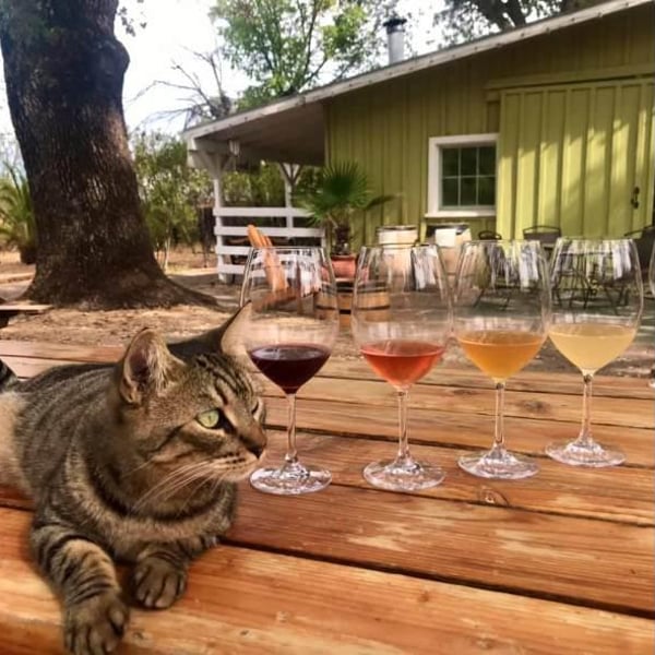 Beaver Creek Vineyards - Martin Pohl