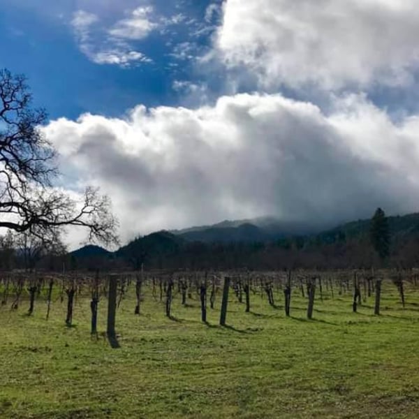 Beaver Creek Vineyards - Martin Pohl