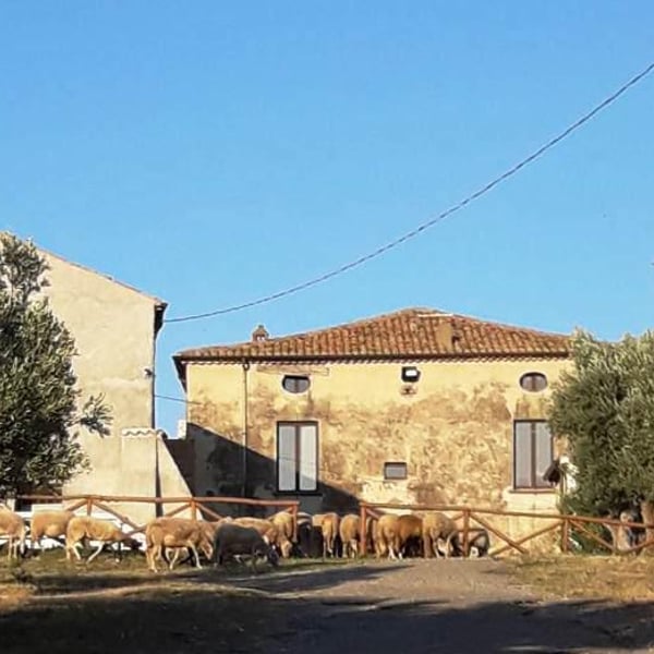 Daniela De Marco and Giampiero Ventura - Masseria Perugini (closed)