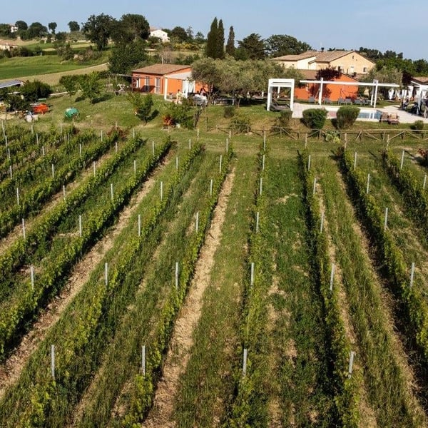 Tenuta San Marcello - Massimo Palmieri & Pascale Marquet