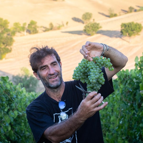 Massimo Palmieri & Pascale Marquet
