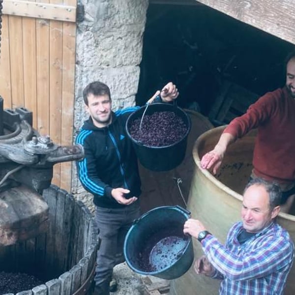 Domaine de La Bruge - Les Agrions - Mathieu & Quentin ROBERT