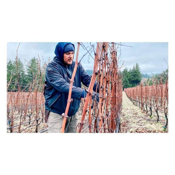 Matt Taylor Wines - Matt Taylor