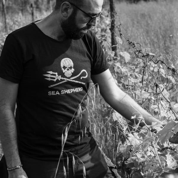 Matteo Niccolai
