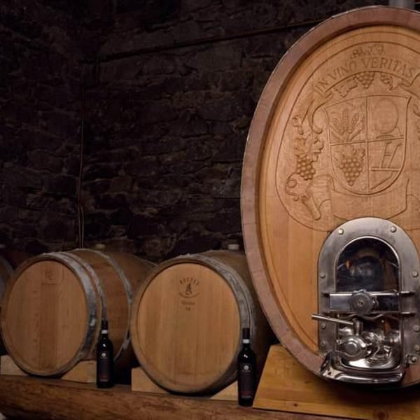 Azienda agricola Franzina - Mattia Franzina