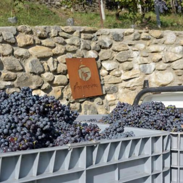 Azienda agricola Franzina - Mattia Franzina