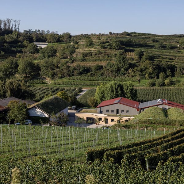 Weingut Höfflin - Matthias und Julius Höfflin