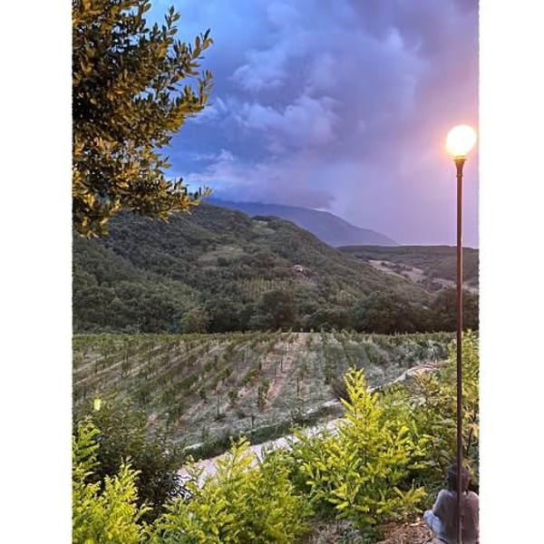 Tenuta Baroni Campanino - Andrea Caracciolo
