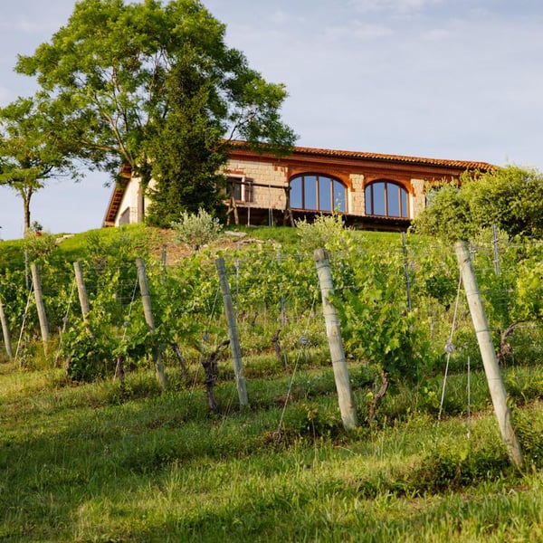 Tenuta Magrini - Maura Satta Flores