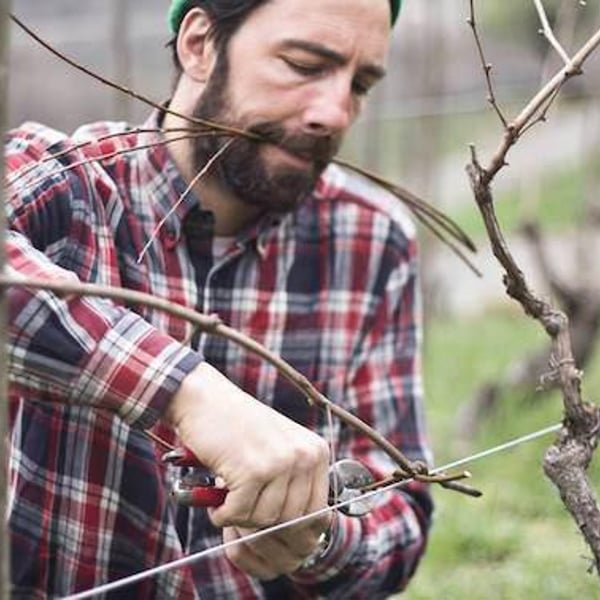 Azienda Agricola Cascina Barbàn - Maurizio Carucci, Martina Panarese, Pietro Ravazzolo, Maria Lùz Principe