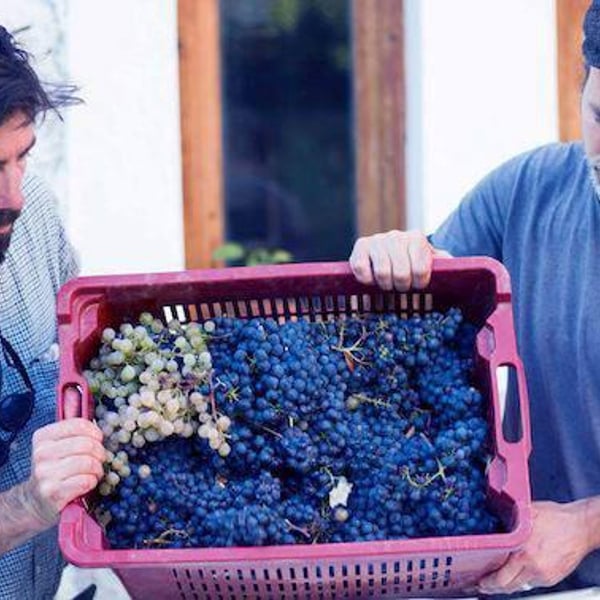 Maurizio Carucci, Martina Panarese, Pietro Ravazzolo, Maria Lùz Principe