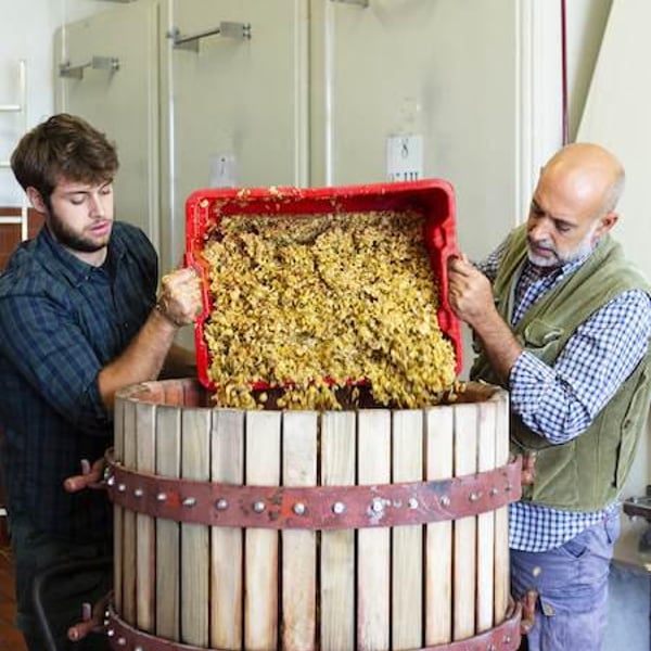 Azienda Agricola Croce di Febo - Maurizio & Enrico Comitini