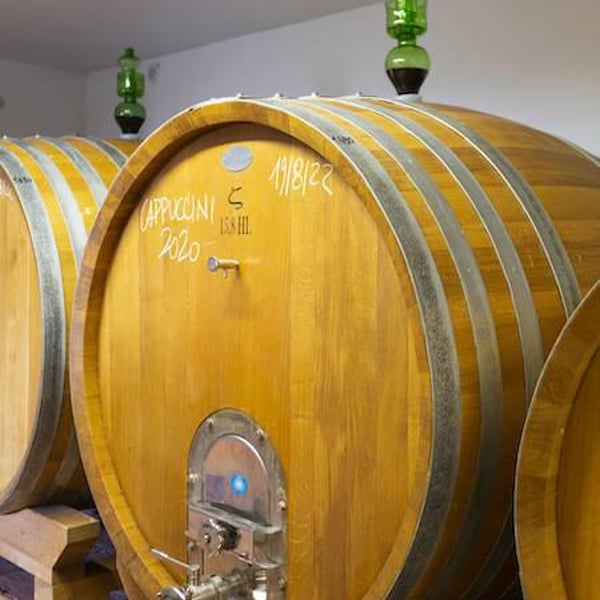 Azienda Agricola Croce di Febo - Maurizio & Enrico Comitini