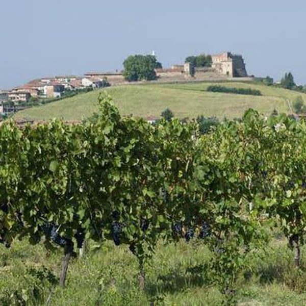 Maurizio Ferraro - Maurizio Ferraro
