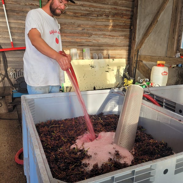 Weingut Max Jäck - Max Jäck