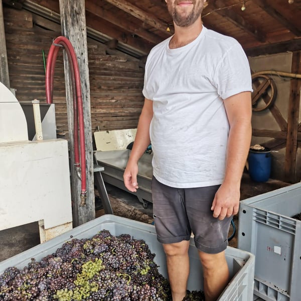 Weingut Max Jäck - Max Jäck