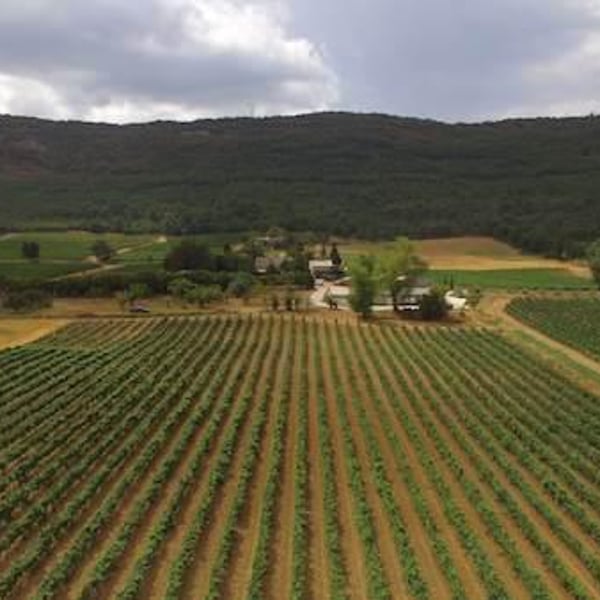 Domaine de la Mongestine - Maxime Gamard , Céline & Harry Gozlan