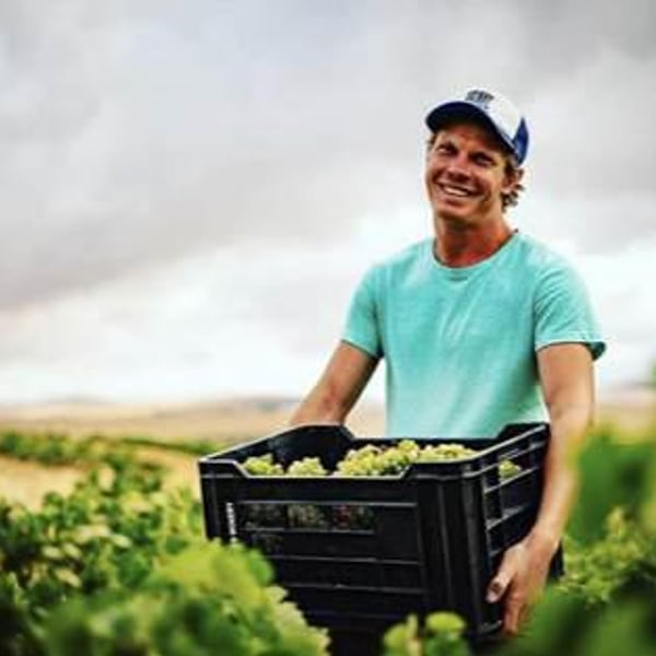 ( l )equinox wines - MC Stander