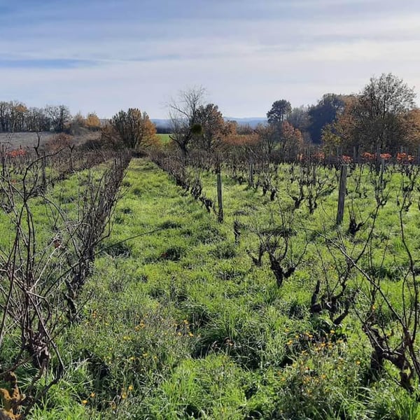 Mélanie Dedron Et Igor Denat